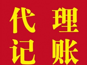 上海市首家代理记账行业协会成立